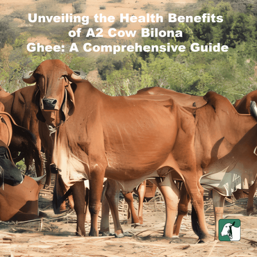 Unveiling the Health Benefits of A2 Cow Bilona Ghee: A Comprehensive Guide